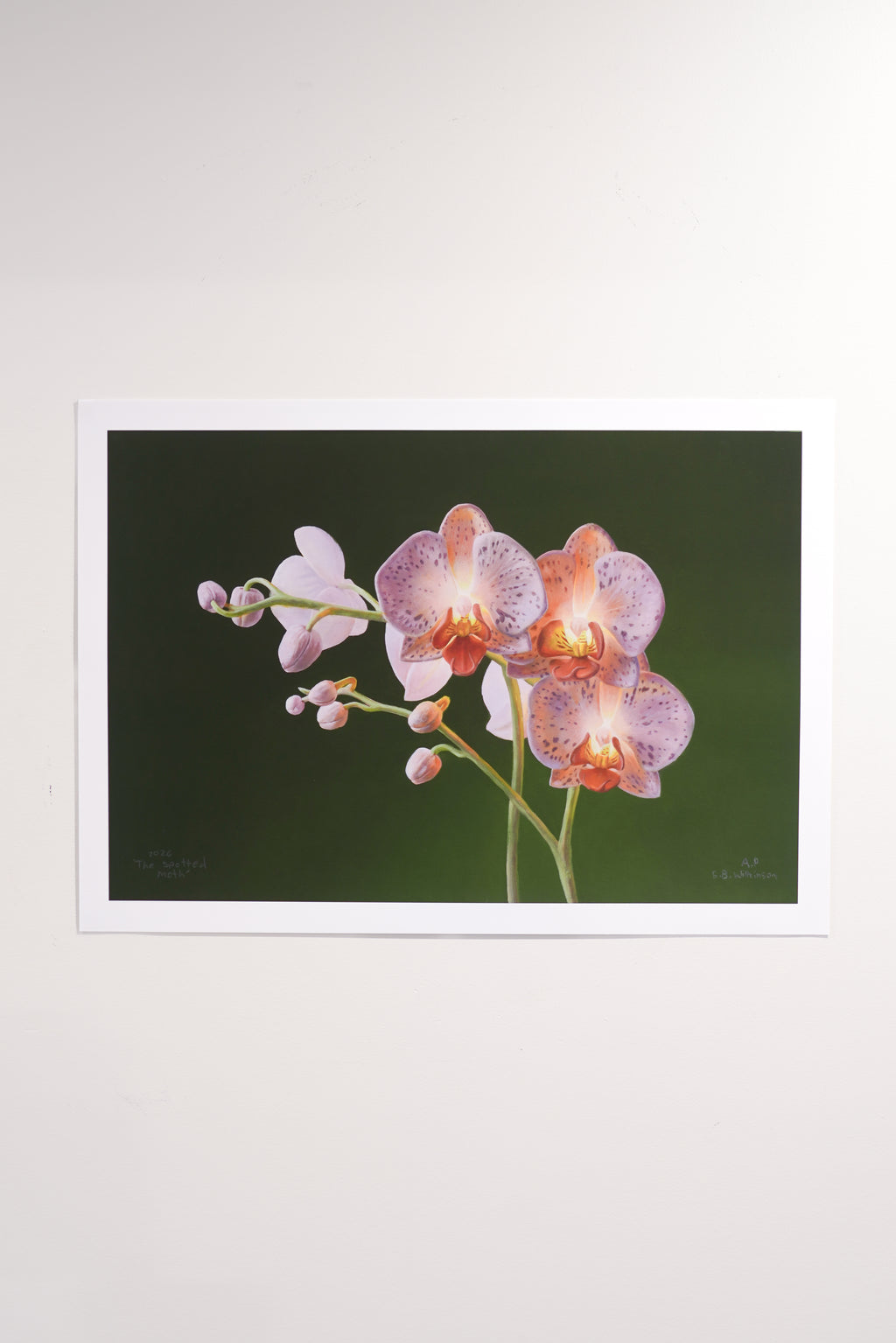 The Spotted Moth Print