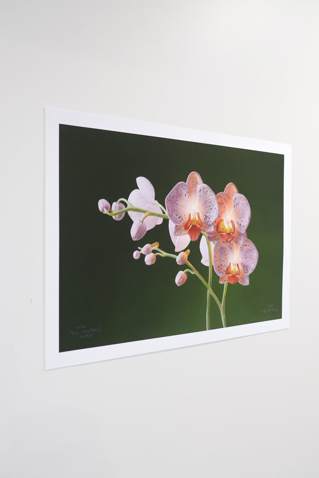 The Spotted Moth Print