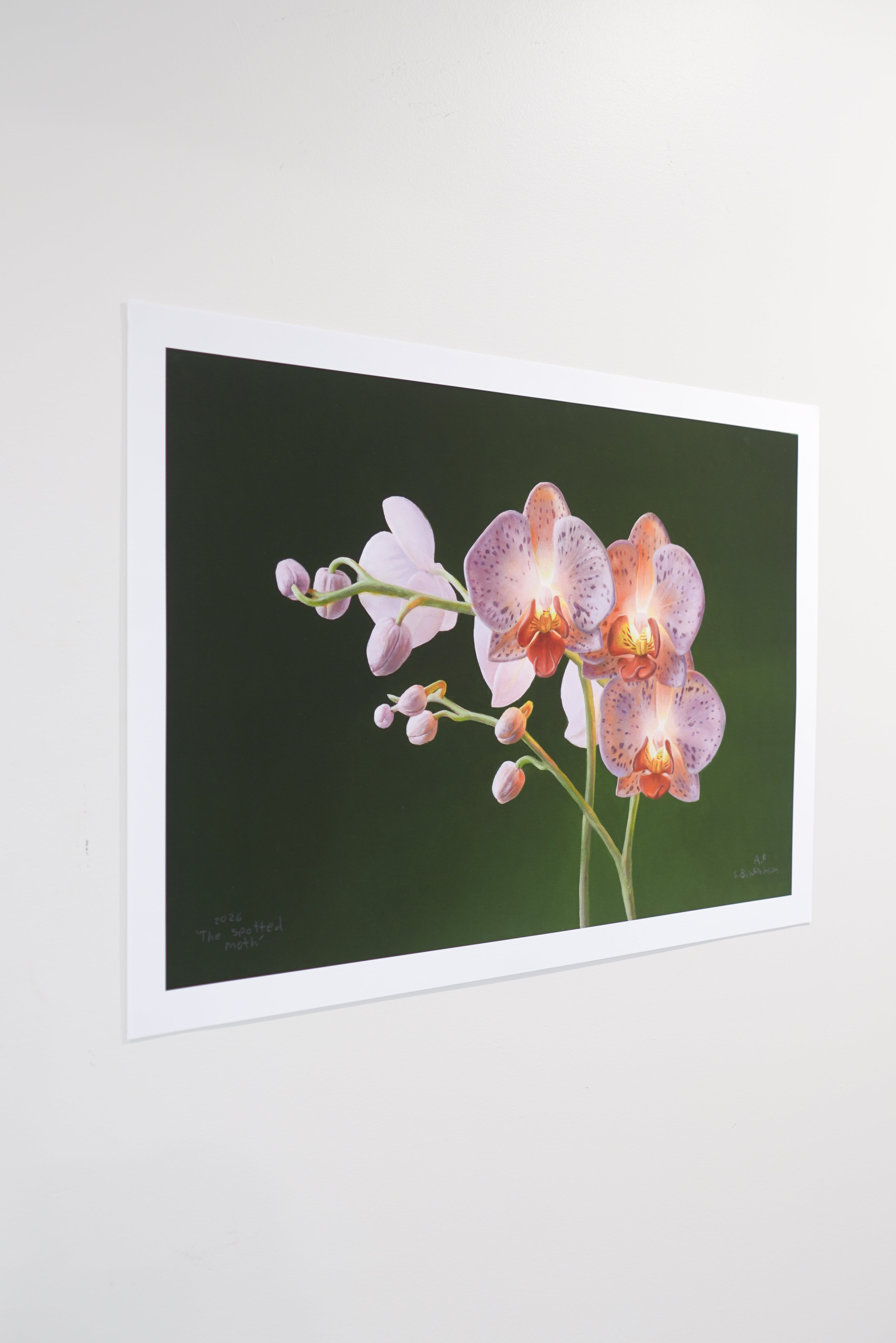The Spotted Moth Print
