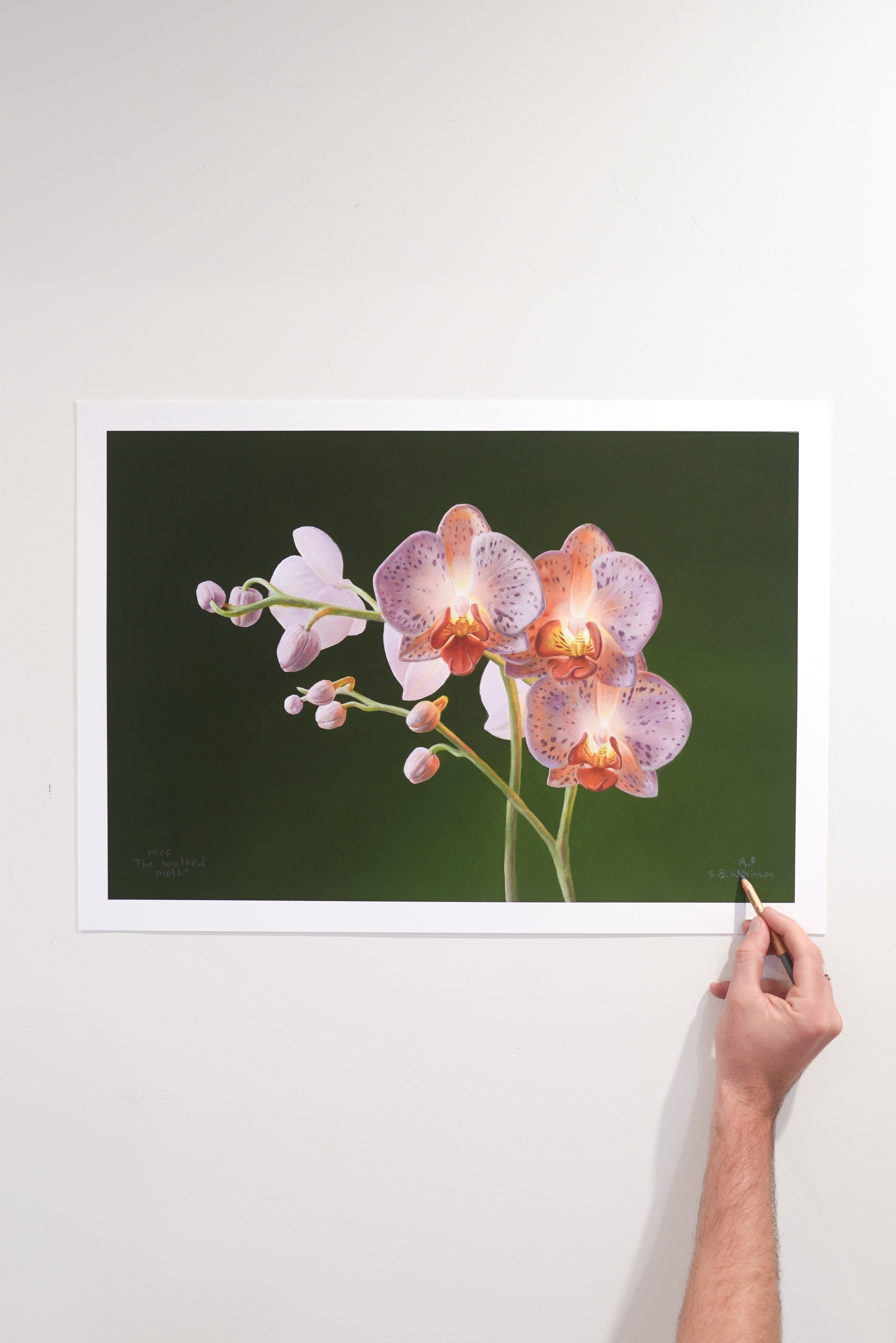 The Spotted Moth Print