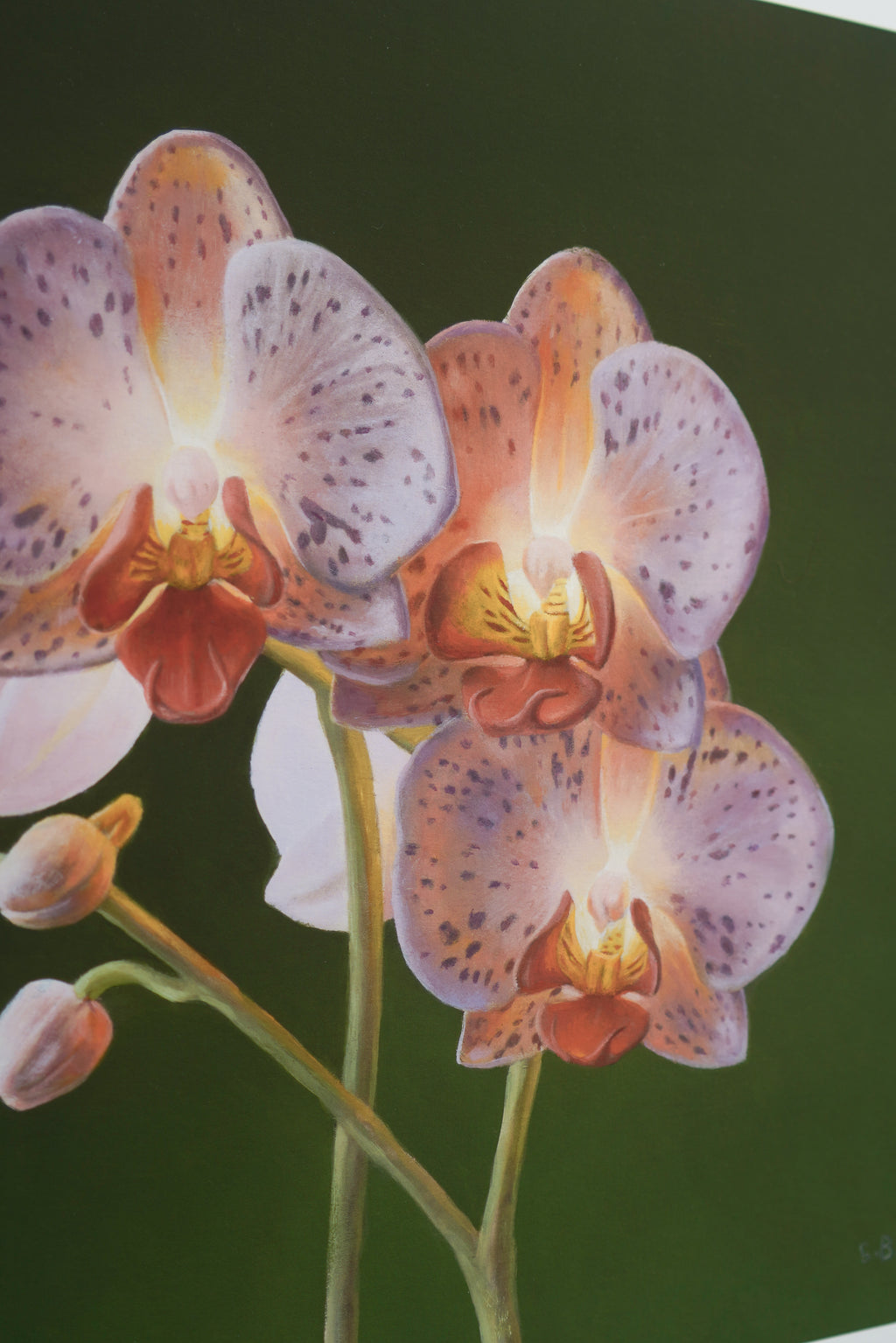 The Spotted Moth Print