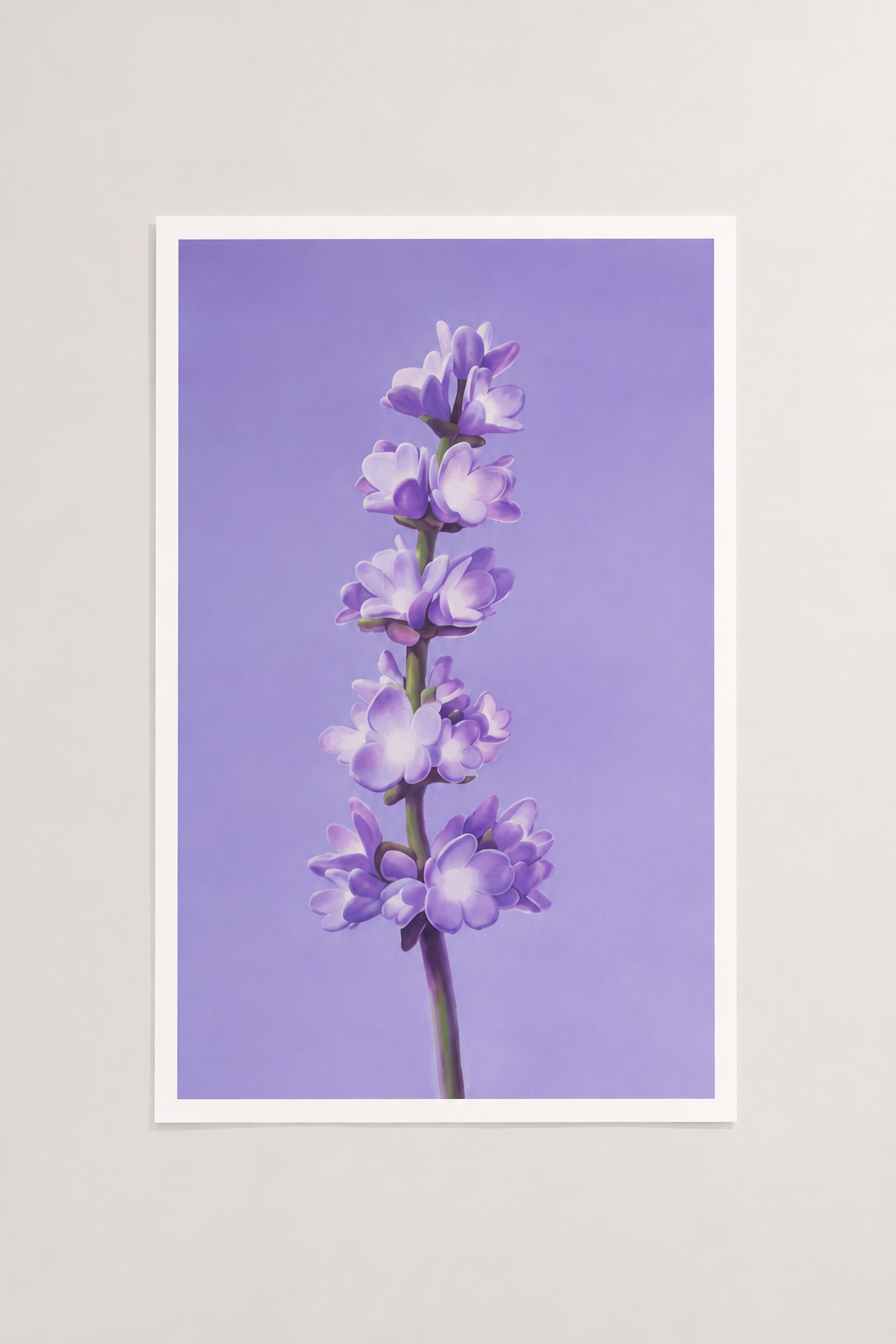Lavender Print